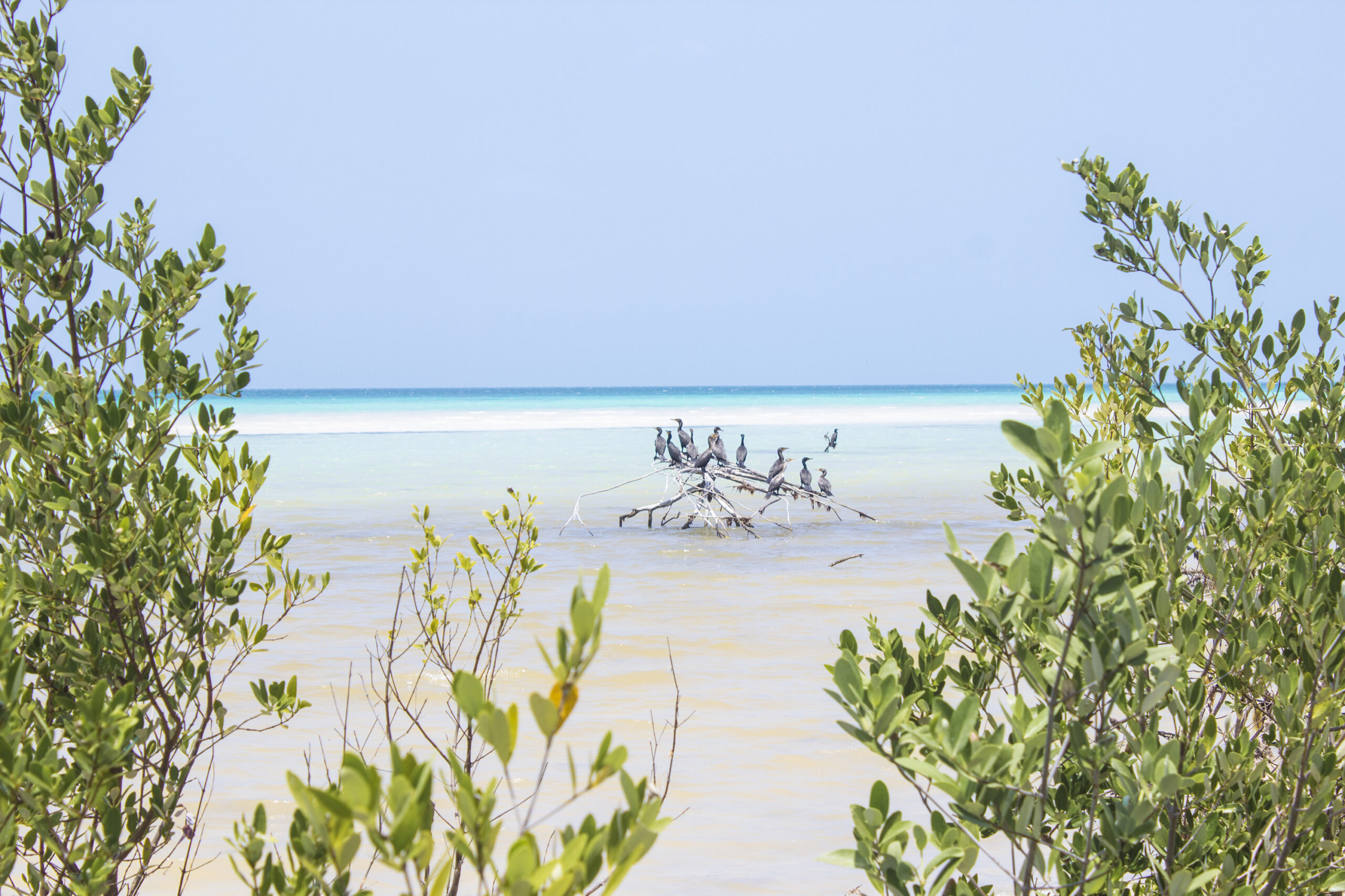 The ultimate backpacking guide to the Yucatan Peninsula - Holbox Pajeros ScaleD