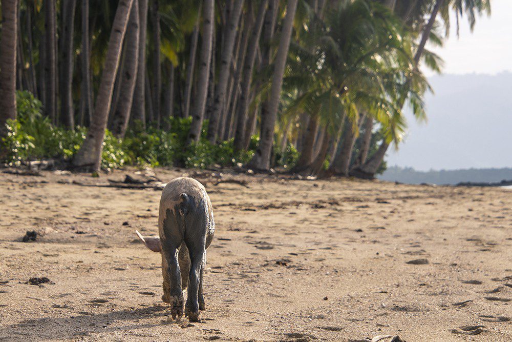 Best Places to Visit in the Philippines: The Ultimate Travel Guide